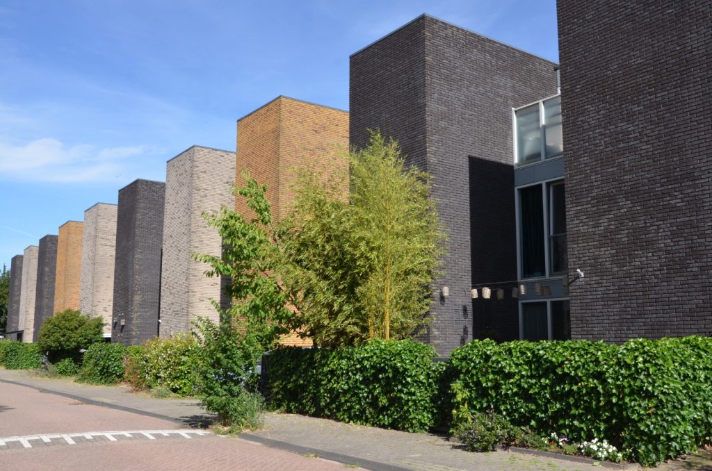 Beschrijving